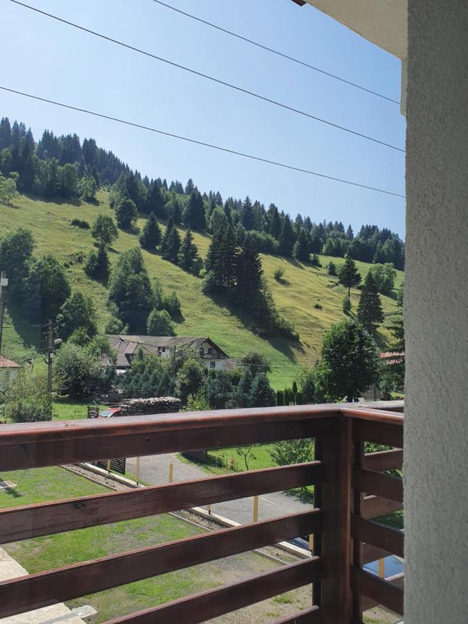 Alegria - Moieciu De Sus Hotel Moeciu De Sus Exterior foto
