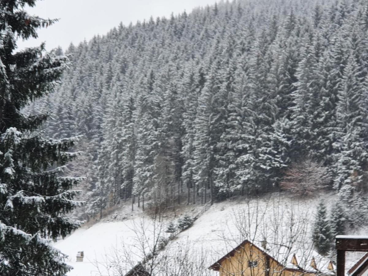 Alegria - Moieciu De Sus Hotel Moeciu De Sus Exterior foto