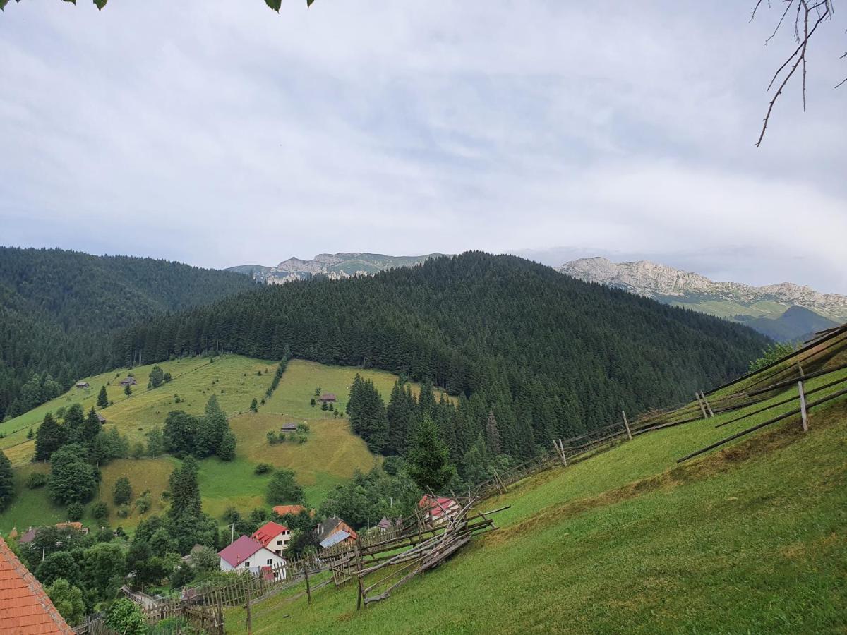 Alegria - Moieciu De Sus Hotel Moeciu De Sus Exterior foto